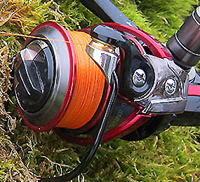 image descripiton
