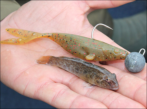 Yetuk rus sochli porno rasmlar Bir partiyada xotinimni sikish video