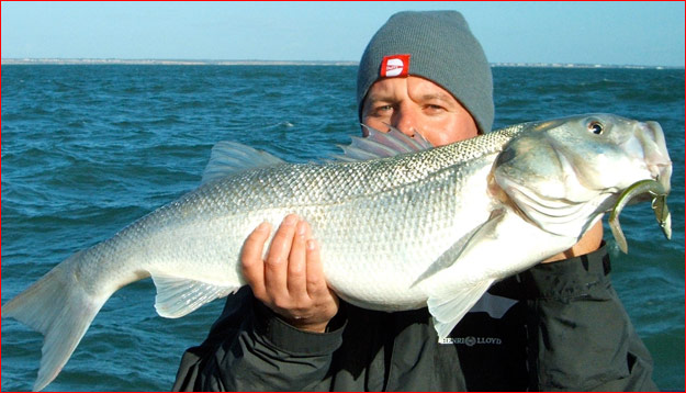 http://www.totalfishing.nl/upload/images-cmx//VB_083/020-4-Jonathan-Trent-11,5lb.JPG