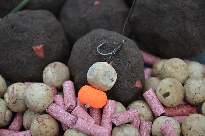 鍔 Zeebrasem eer TotalFishing