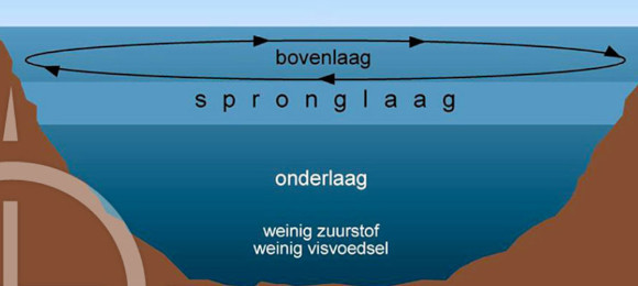 image descripiton